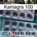 Kamagra 100 31